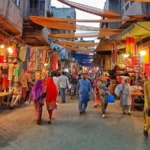 ڈپٹی میئر کراچی نے ناردرن بائی پاس پر مویشی منڈی کا افتتاح کر دیا 